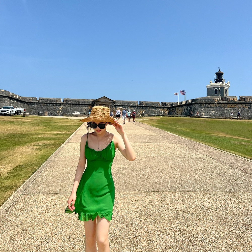 Reformation Mini Dress